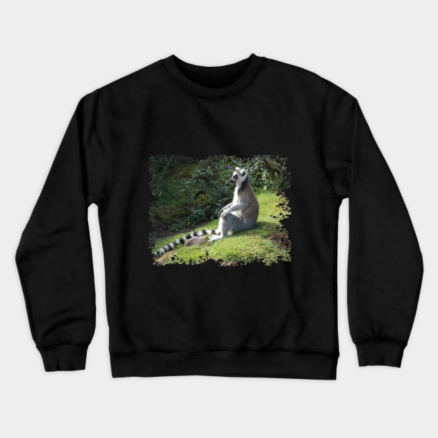 Lemur Crewneck Sweatshirt by Nicole Gath Photography